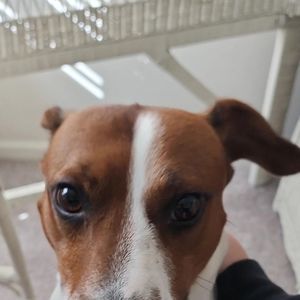 Meet your Posher, Isabella